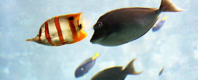 An Estuary Offers Teachers a Hard Look at Their Habitat