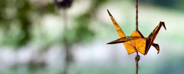 How to Choose Edtech, Courtesy of Twitterverse