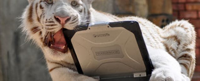 Three Lessons from Amplify’s Melted Charger