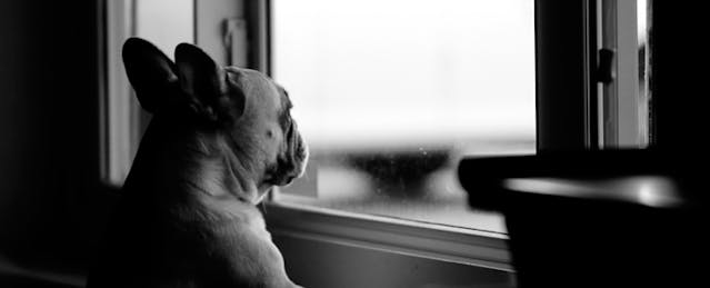 Missed Opportunities?