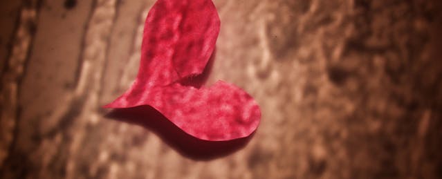 Stopping the #Heartbleed: What Edtech Entrepreneurs Must Let Users Know