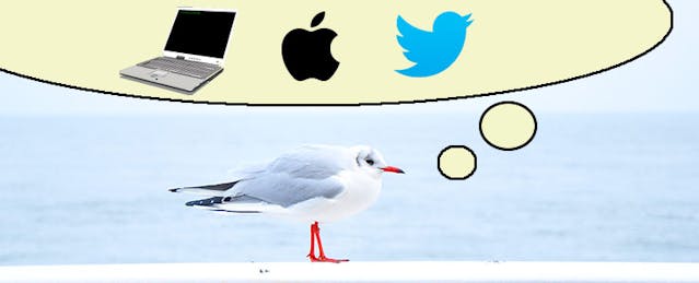 Summer Brain Gain: 20+ Edtech Learning Opportunities for Educators and Students