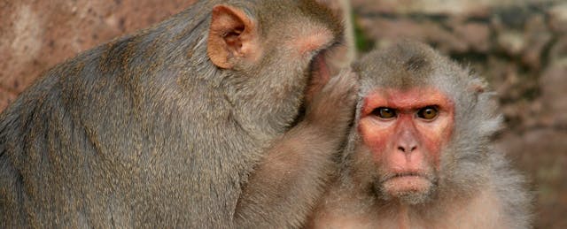 No More Secret Sauce Analytics