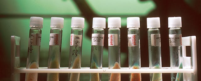 Power of Partnerships: Getting More Latino Students into STEM Fields