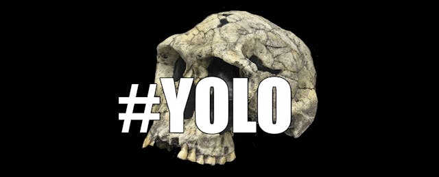 ​Say YOLO to Studying Solo: The Power of Collaborative Learning