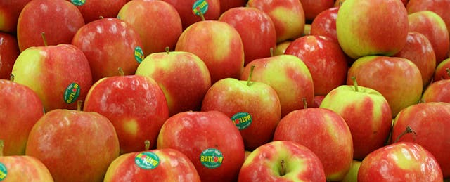 Teach for America Responds to Criticism, Seeks to Reform