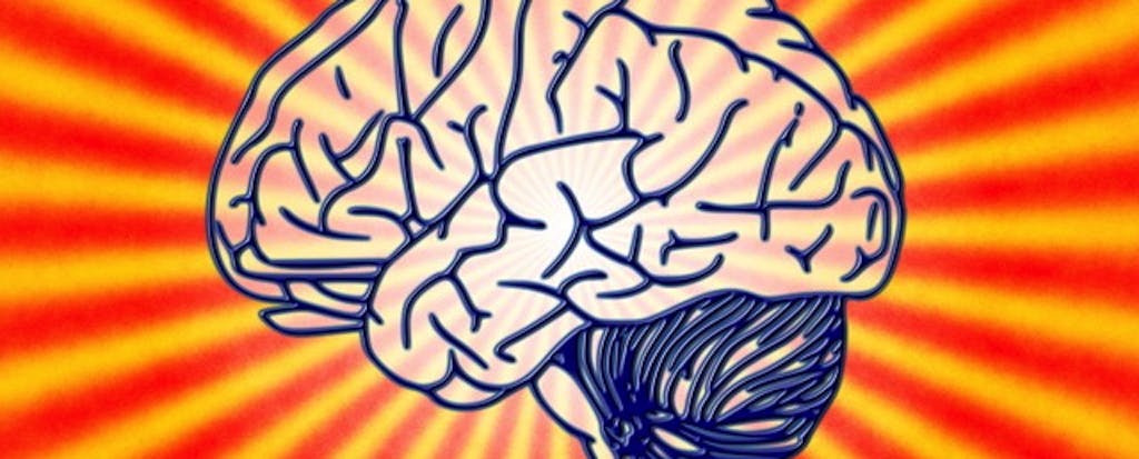 Brains could. Мозг учеба.