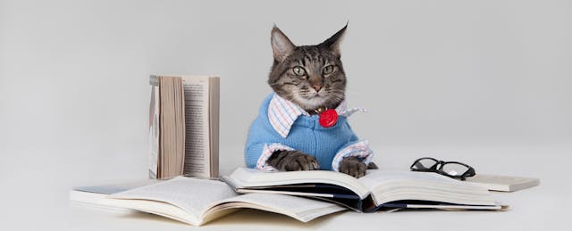 Open Book Test: Can a Cost-Saving Measure Also Raise Performance?