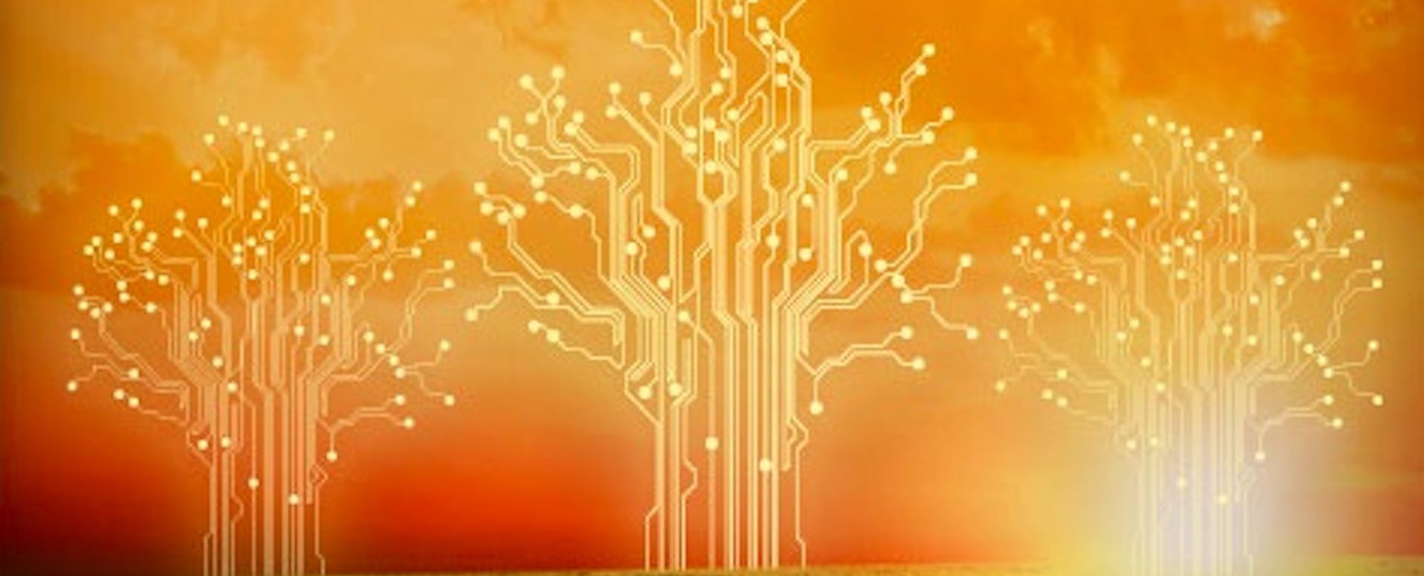 Tech Capital: Spotlight on Twelve Silicon Valley Districts