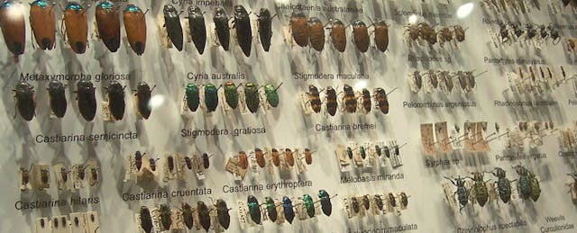 Defining the Taxonomy for 'Personalized Education'