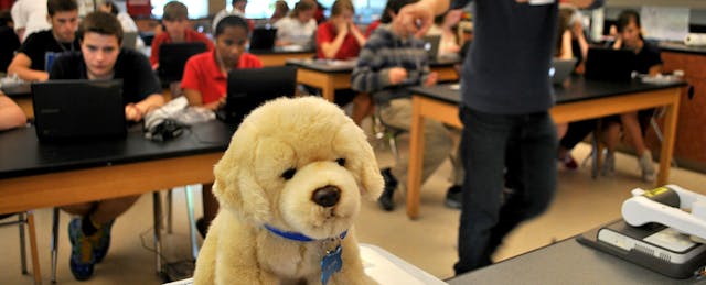 CodeHS Raises $1.75M to Help Students (and Karel) Learn New Tricks