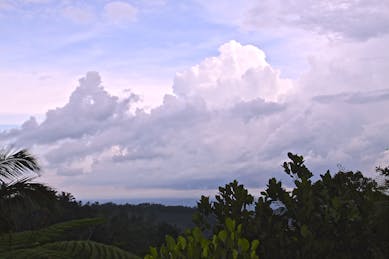 Cloudy with a Chance of (Great) Performance: Neverware Heads to the Cloud