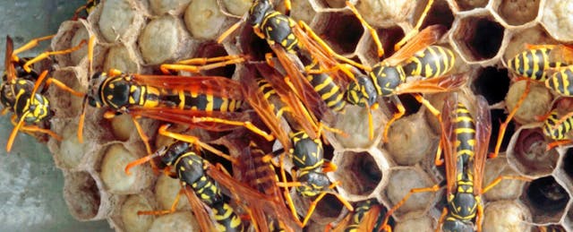 How Lindsay Activated Change By Activating Their Community