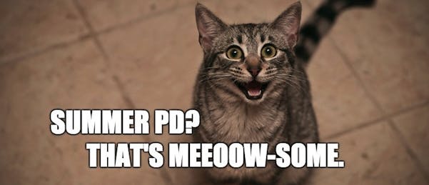 Brain Food: 20+ Summer Opportunities for Educators and Students