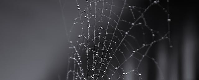 The Most Dangerous Trap for Education Technology Entrepreneurs