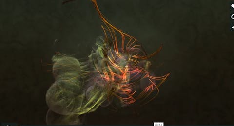 What a Digital Artist Sees and Hears