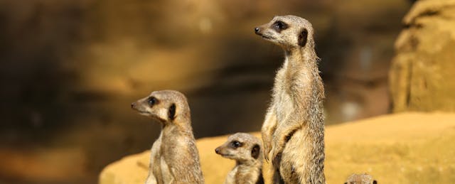 Learn From LA Unified: What NOT to Do When Rolling Out Technology