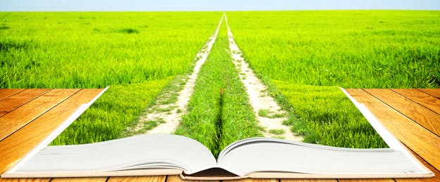 A Veteran Teacher’s Path to Blended Learning