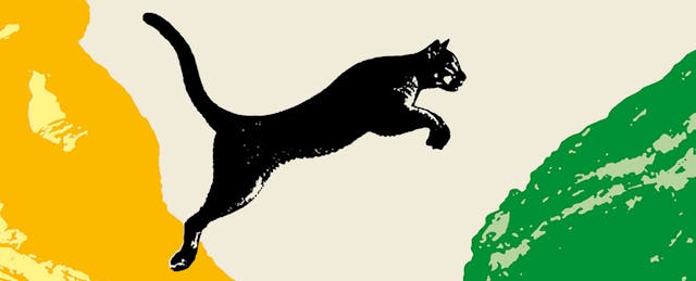 Choosing the Right College? Find Your Passion Fit First