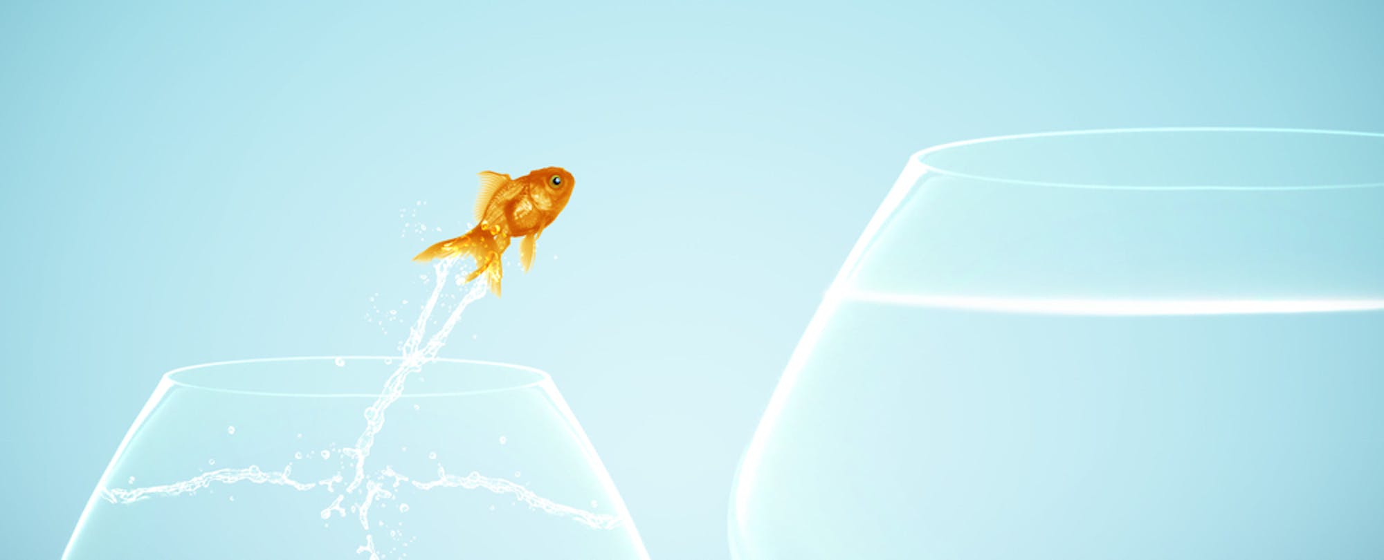 Making the Leap From the Classroom to the Edtech Industry