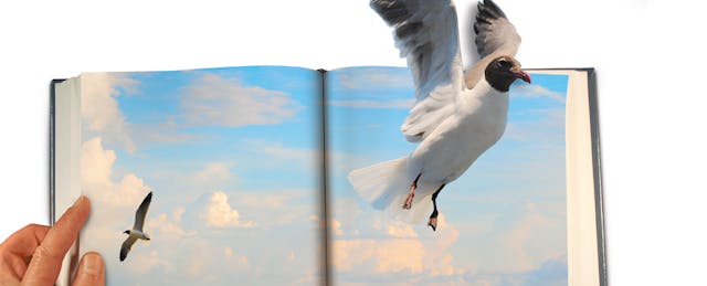 Want to Prevent College Dropouts? Look Outside of the Classroom