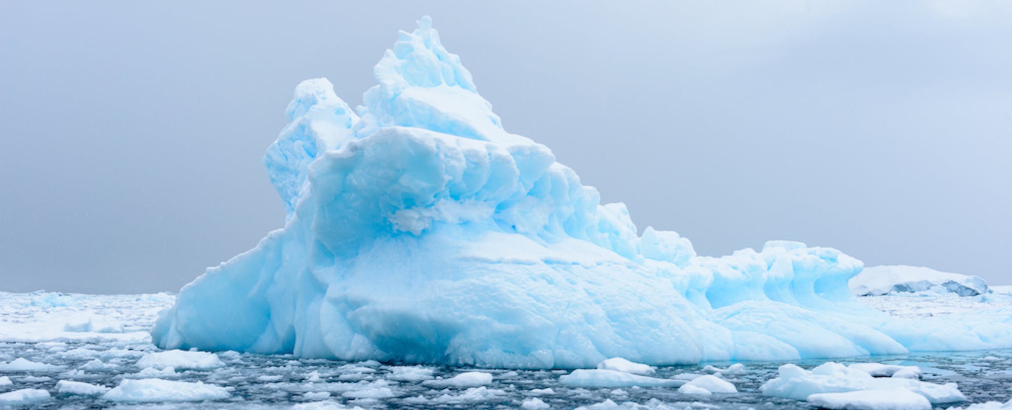 Personal Statements 2016: Icebergs and Other (Movie) Villains of My Education