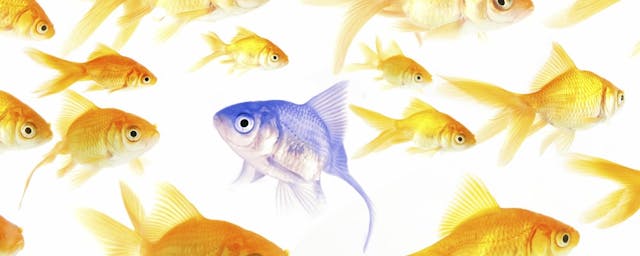 How UC Davis Reaps Personalized Learning's Simple Benefits