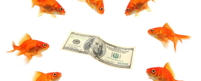 New Markets’ New Education Fund