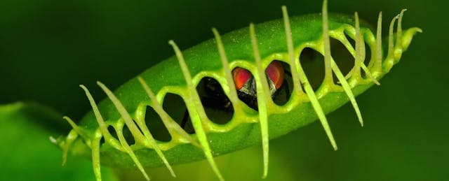 Is the Educational Games Industry Falling Into the Same Trap It Did 20 Years Ago?