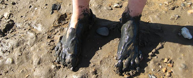 When Buzzwords Get Muddy: Defining 'Personalized Learning'