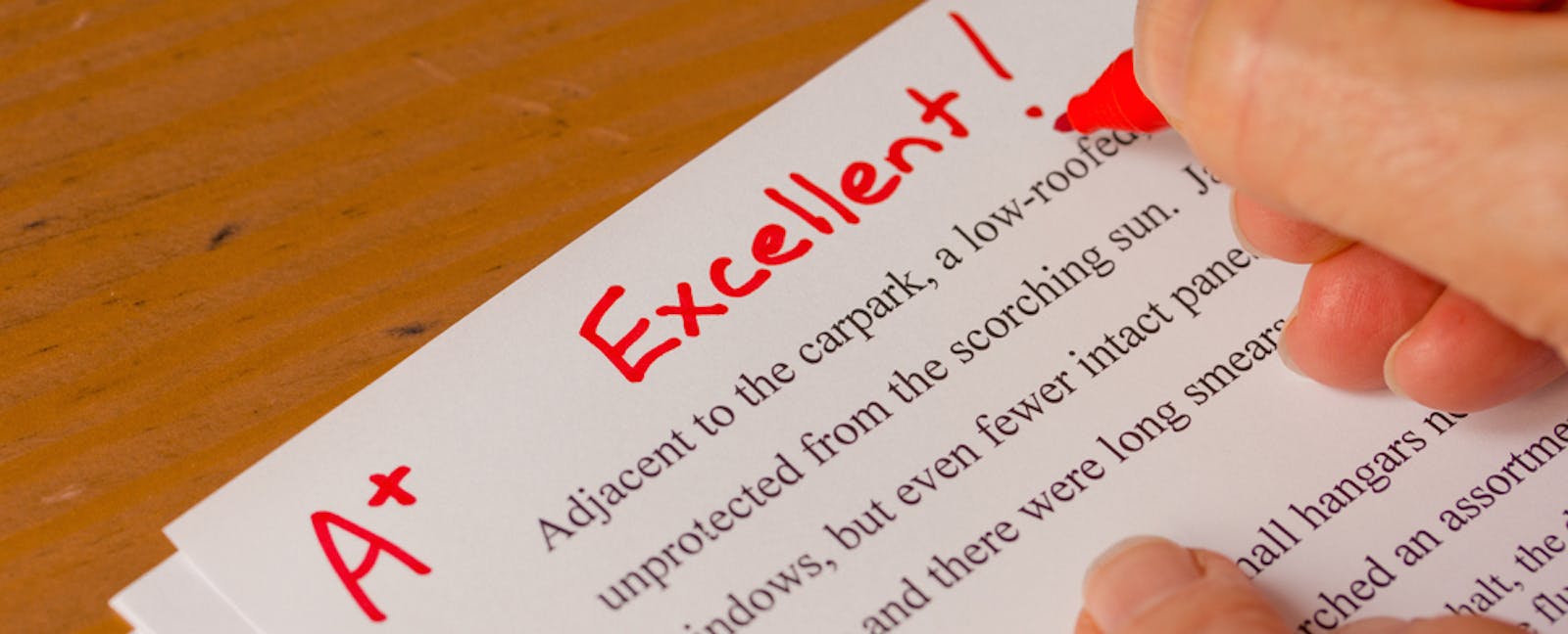 Humans Still Win: A Comparison of Two Robo-Essay Readers From Turnitin ...