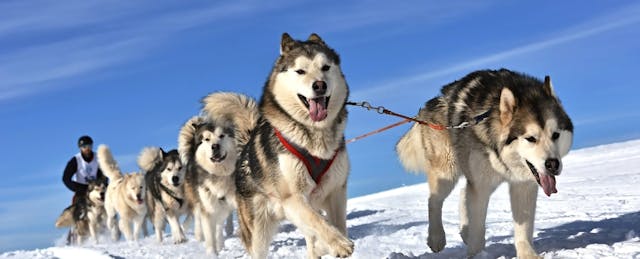 Don’t Go It Alone: Why Edtech Companies Should Partner With Education Consultants