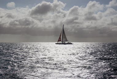 Sailing Through the Summer Brain Slump