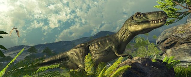 We Tried Lifeliqe to Explore What Educational VR Content Actually Looks Like