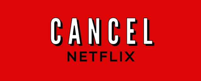 Why We Don't Need a 'Netflix for Education'