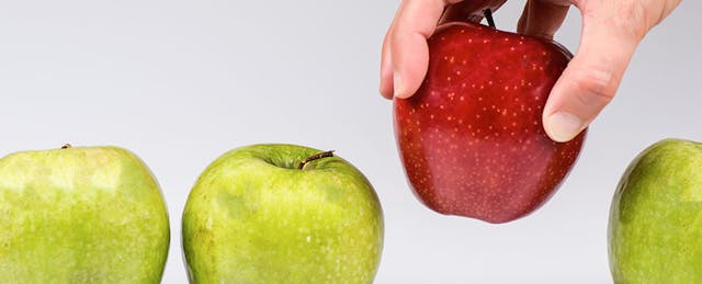 Finding and Creating Buy-In for a New LMS