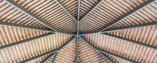 Why Rafter Failed, and What It Means for Edtech