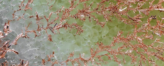 MEL Science Raises $2.5 Million to Make Lab Experiments a (Virtual) Reality