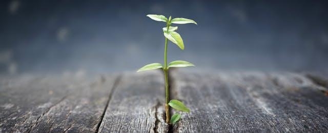 How Universities Can Grow a Culture of Academic Innovation