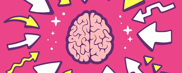 Brain Science and Education: How Much Should Teachers Know?