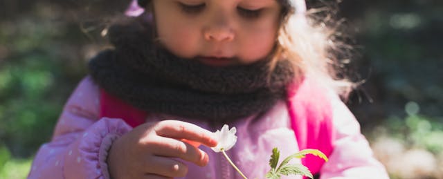 Setting, Tension, Explanation, Metaphor: A Storytelling Approach for Early STEM Learning
