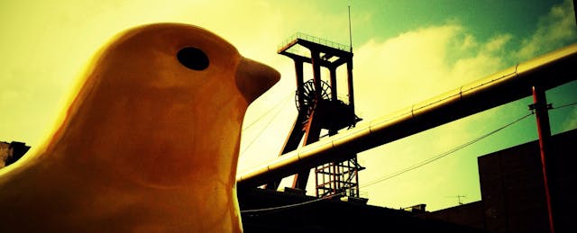 The Canary in the Law School Coal Mine
