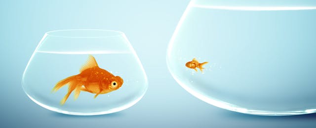 BrightBytes Tried to Buy Hapara. Then a Better Offer—and a Legal Complaint—Emerged